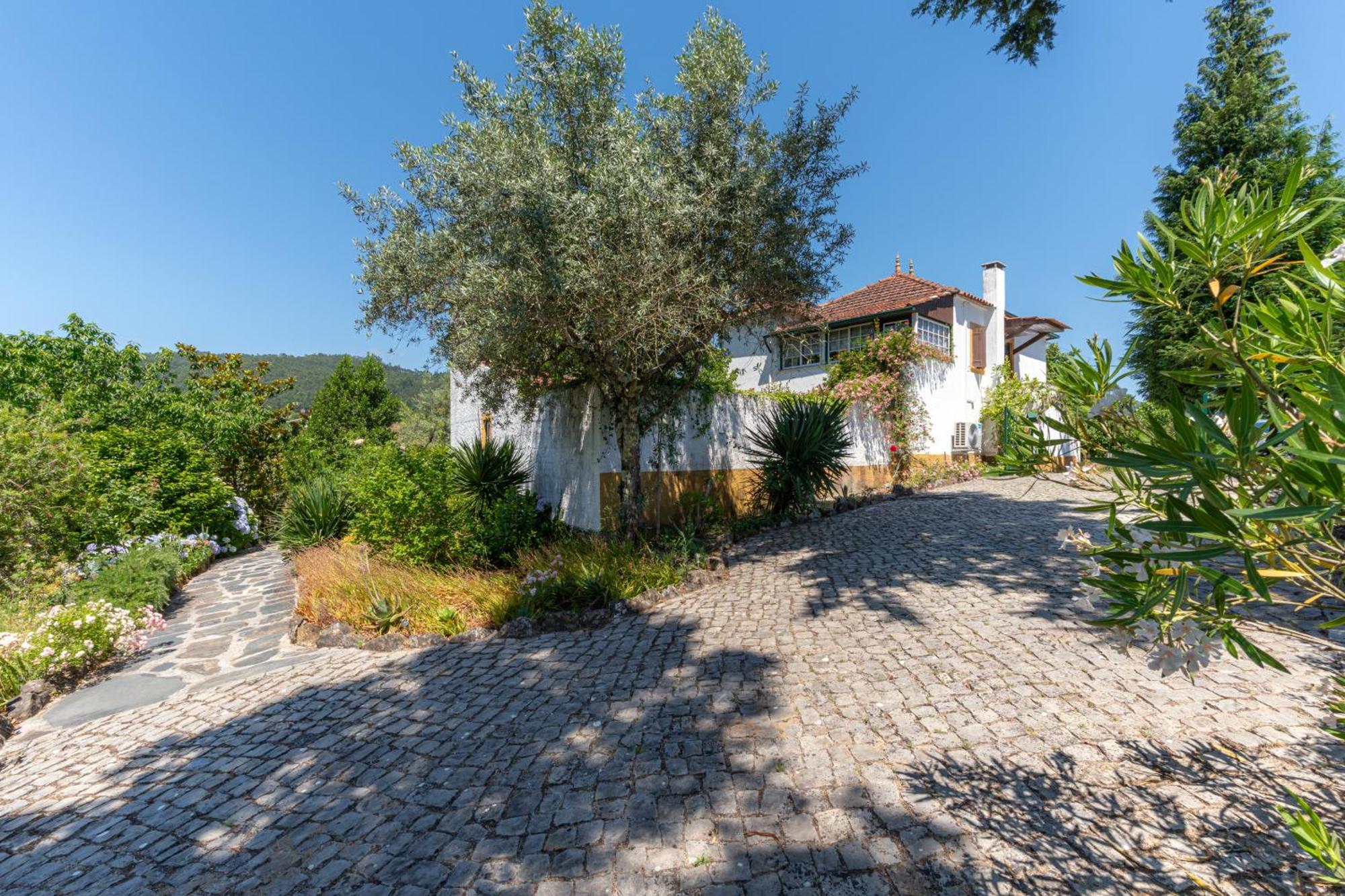 Atlantic Nest Poiares Villa Вила Нова де Пойарес Екстериор снимка